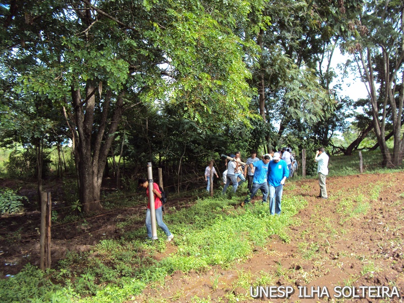 21_marco_2011 (17).JPG